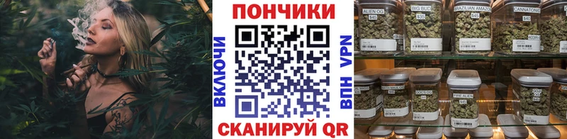 Купить закладки  Питкяранта  Марихуана сатива 